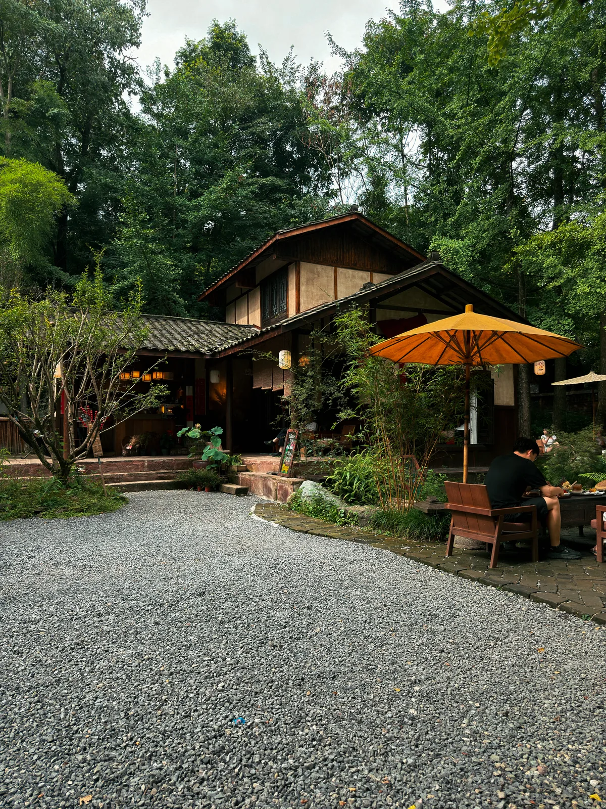 青城山树林包围的木屋民宿与碎石路